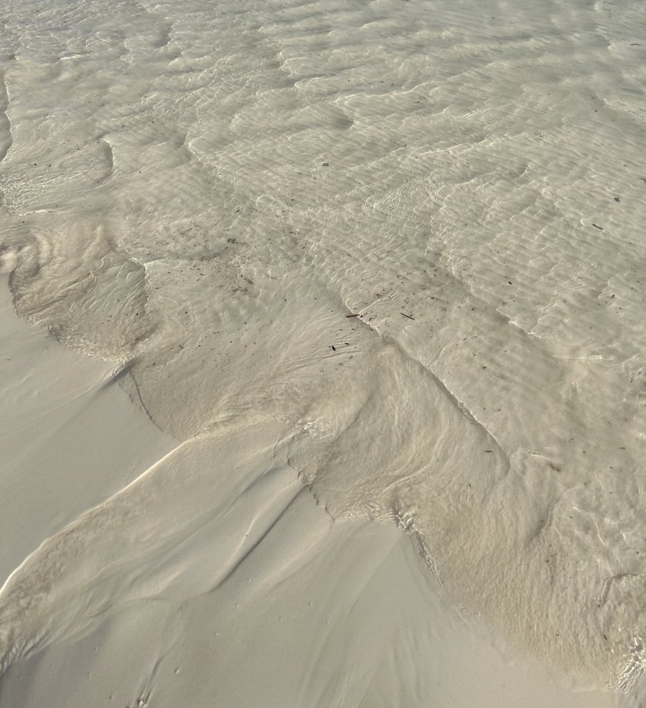 caca ᵕ̈ tweet media