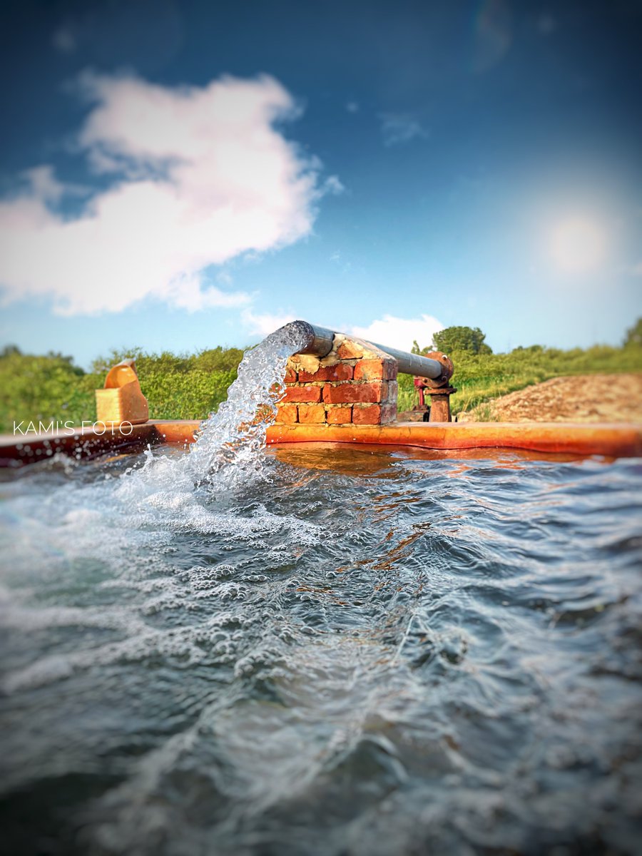 K4mi_i's tweet photo. Reply with the best shot you’ve taken with a phone 📸

Here is my favourites. Shot on iPhone. https://t.co/xldgd51AuR