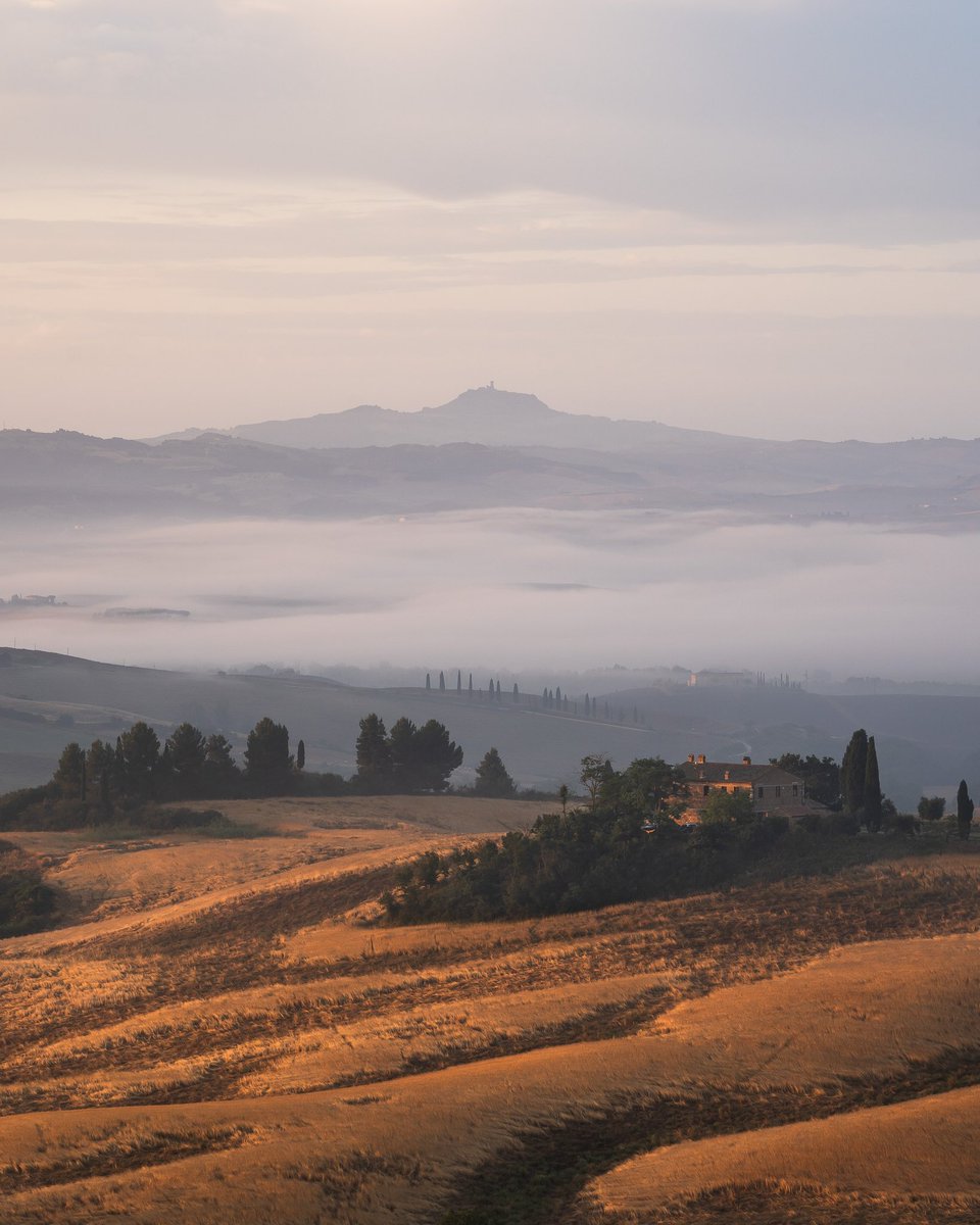 Sam Binding tweet media