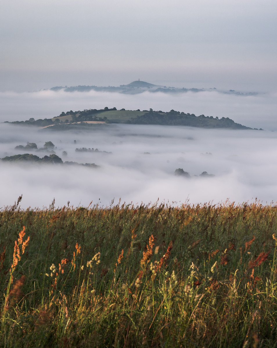 Sam Binding tweet media