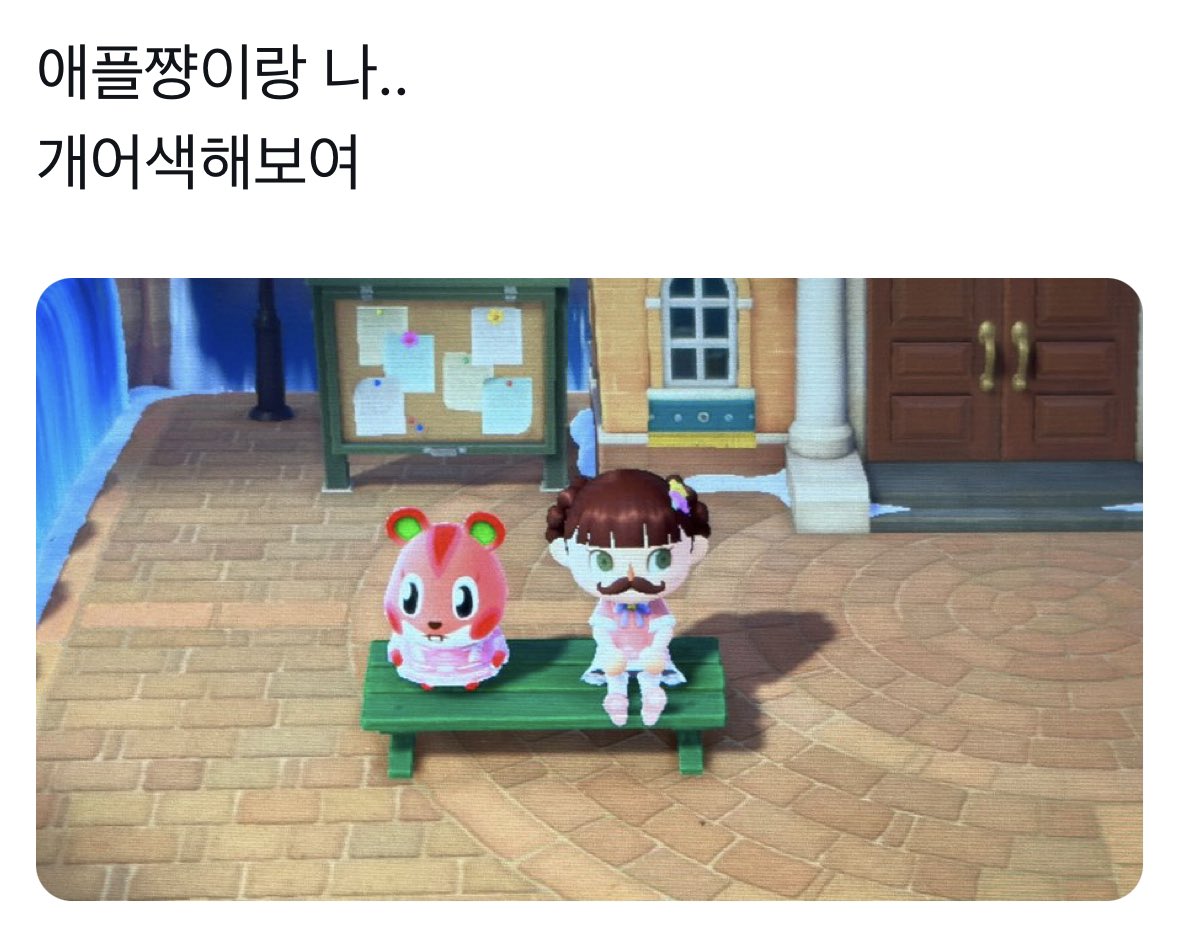 예전에 동숲하면서 틧했던거 발견함