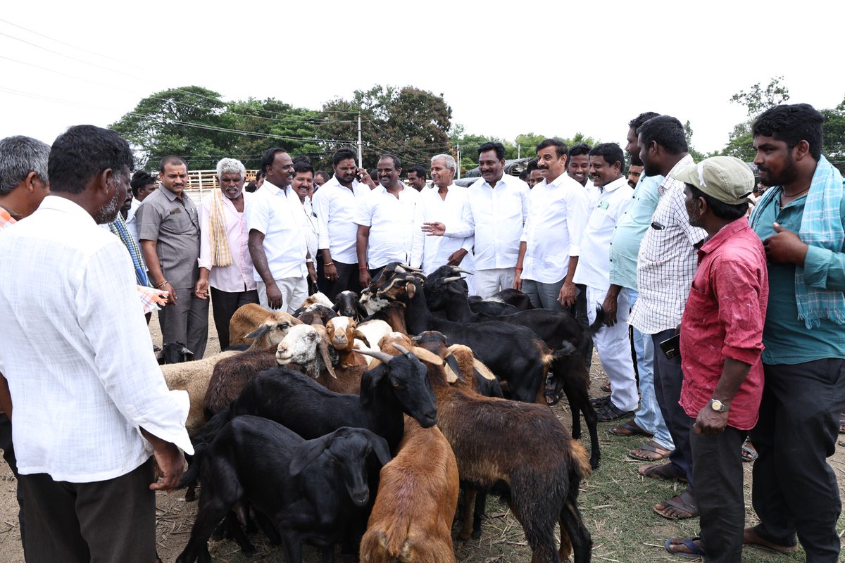 KPR_BRS's tweet photo. దుబ్బాకలో ఏర్పాటు చేసిన మేకల సంతను పరిశీలించిన
మెదక్ పార్లమెంట్ సభ్యులు కొత్త ప్రభాకర్ రెడ్డి గారు
#BRSParty
#TelanganaCMO #KCR #Harishraothanneru #KTRamaRao #kothaprabhakarreddy #kprbrs #Dubbaka https://t.co/h2UiTYqNjT