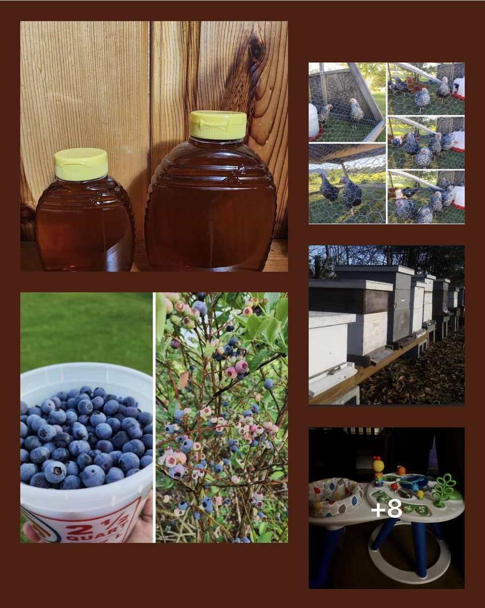 SunJewelStar's tweet photo. For those local to me. I am going to be out today selling honey and other assorted items. Fresh or frozen blueberries, cantaloupe, baby items and chicken eggs. Come see me.
CashApp $SunJewel
PayPal @reneerichelle Pint of Honey $12 Half Pint of Honey $6 
Eggs $5 a Dozen https://t.co/m6ZtFRTUgT