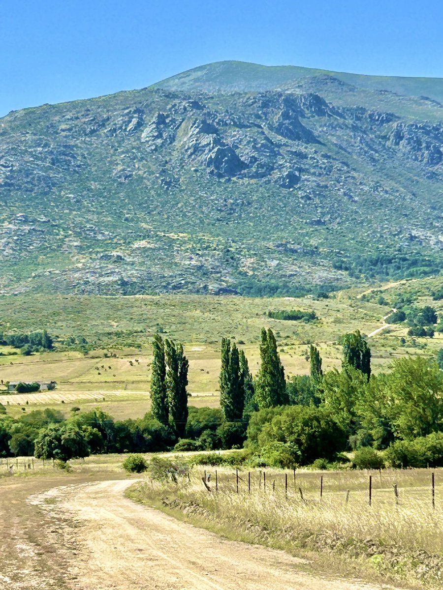 Vivo sin vivir en mi.
Y tan alta vida espero
Que muero porque no muero.