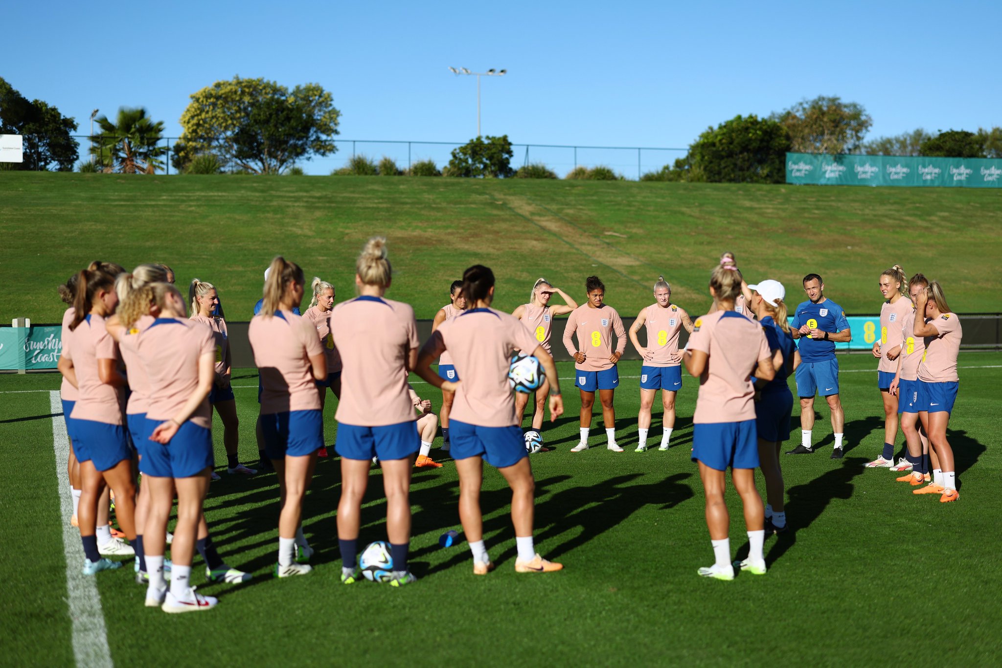 Lionesses on Twitter: