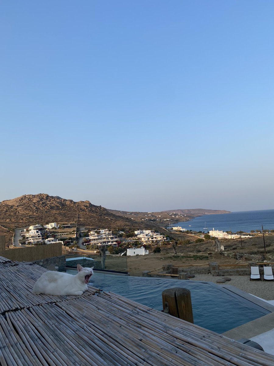GiuliaPesino's tweet photo. γεια σου Μύκονος 🫶🏼🇬🇷🏝️my https://t.co/s4vxcsbLSt
