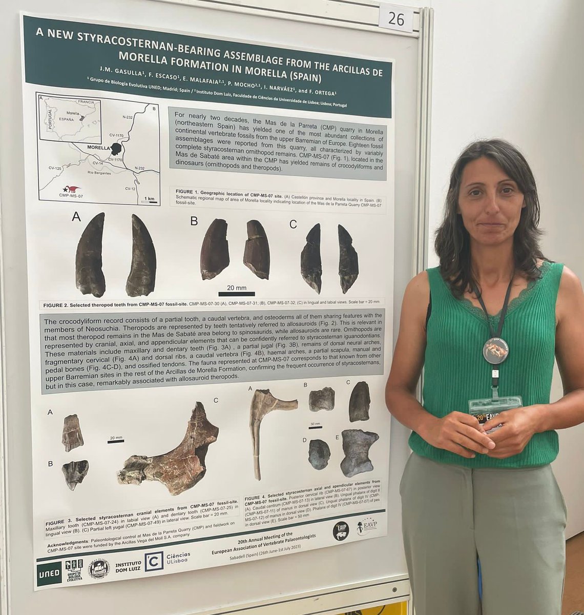 El último yacimiento de la Cantera del Mas de la Parreta (#Morella, #Castellón) en el XX Annual Meeting de la <a href="/EAVPalaeo/">EAVP</a> celebrado en #Sabadell (<a href="/eavp2023/">EAVP 2023 Sabadell</a>), a cargo de J. M. Gasulla (<a href="/Paleogasulla/">Jose Miguel Gasulla</a>) et al.

▶️ godzillin.blogspot.com/2023/07/el-ult…
#Cretaceous #dinosaurs #paleontology #meeting