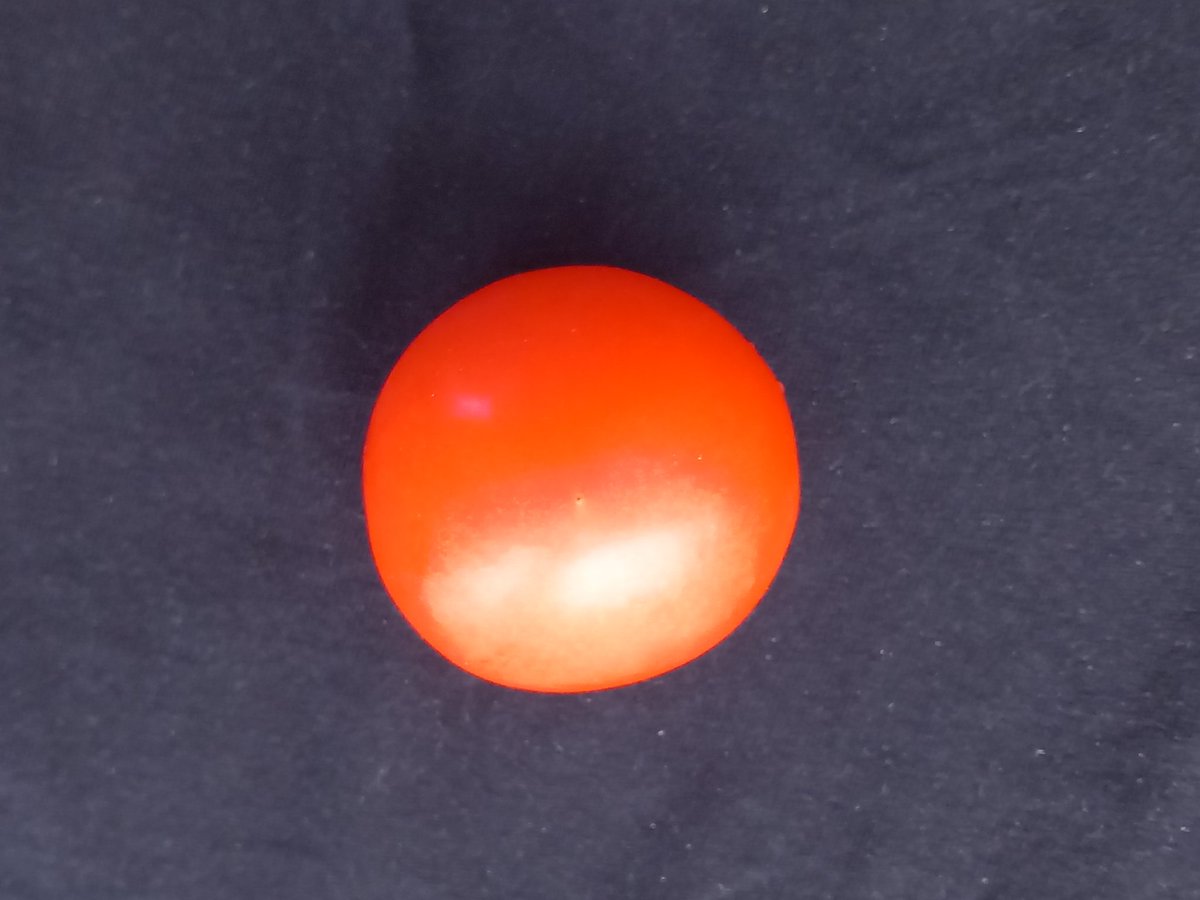 bryn00's tweet image. Proxima Centauri imaged by the #JWST.

#JamesWebbSpaceTelescope
#ProximaCentauri