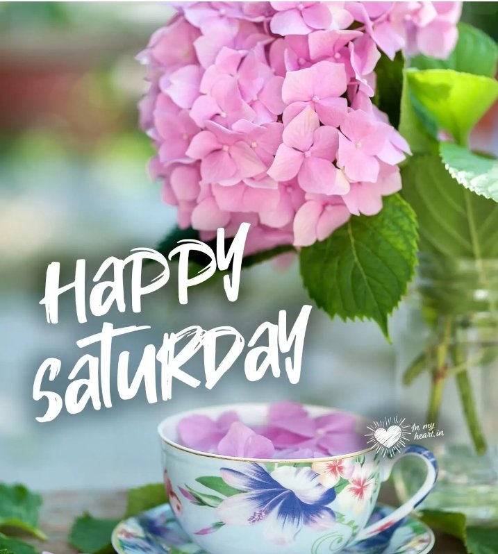 Code 7 Charity tweet media