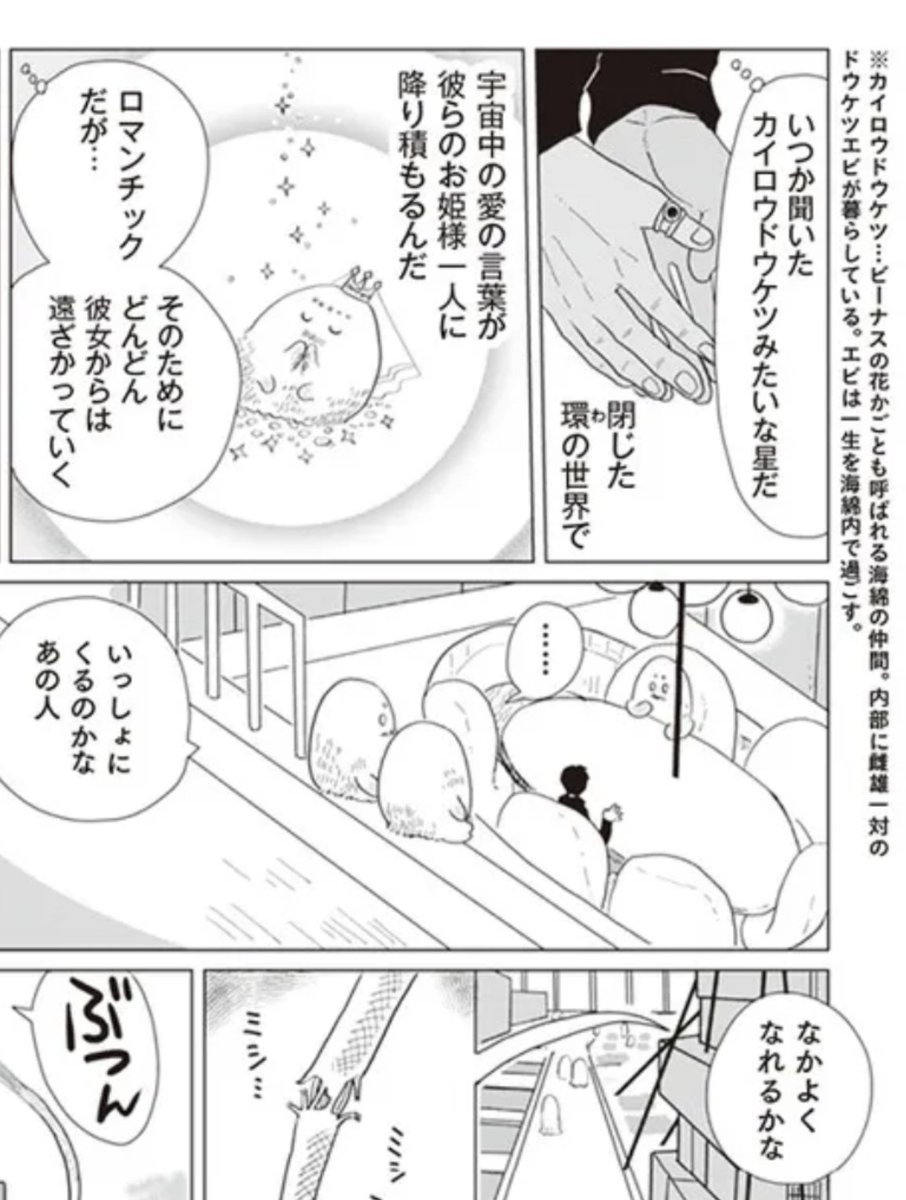 今回も見比べたり辞書を引いたりしつつとても楽しい…✨
注釈も丁寧に訳して頂いていて嬉しいです!! 