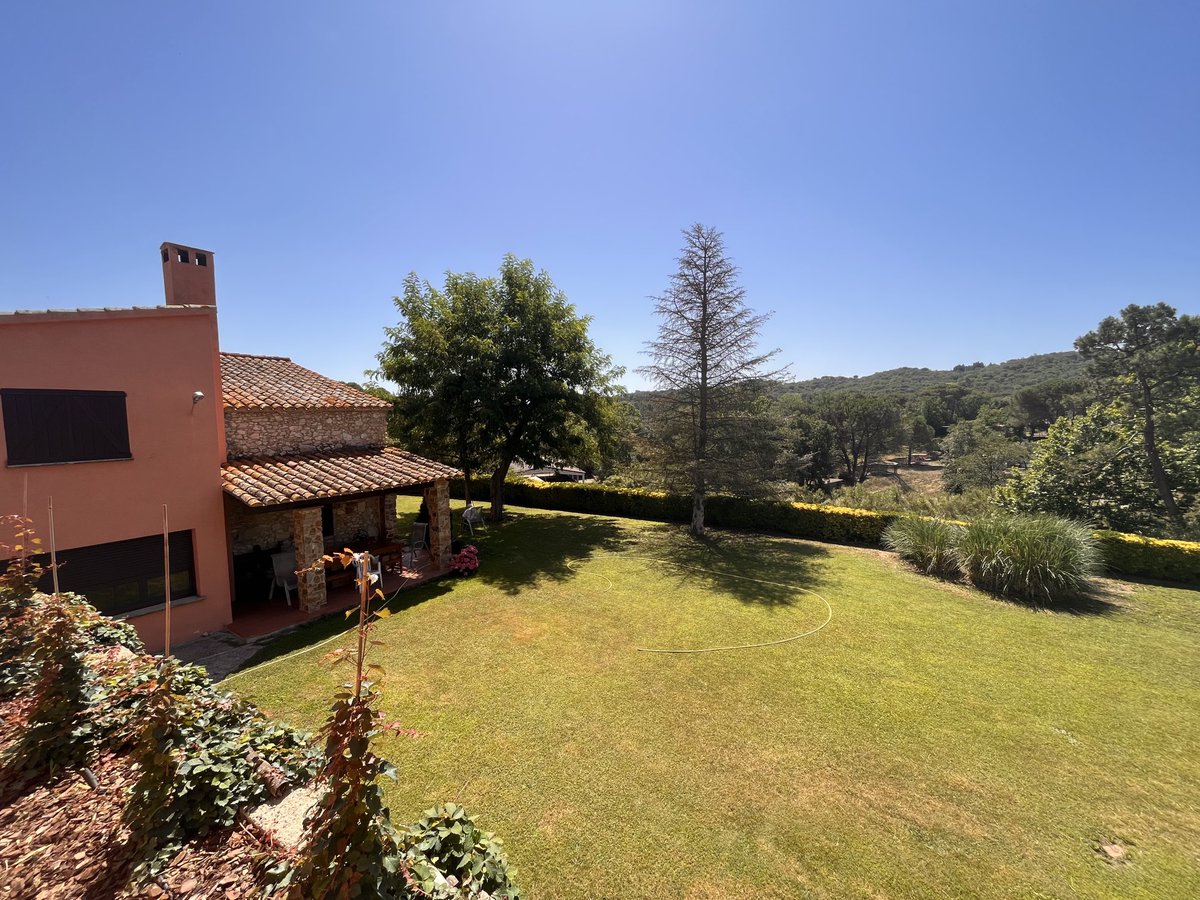 El fin de semana es para descansar , pensar y …. cortar el césped.