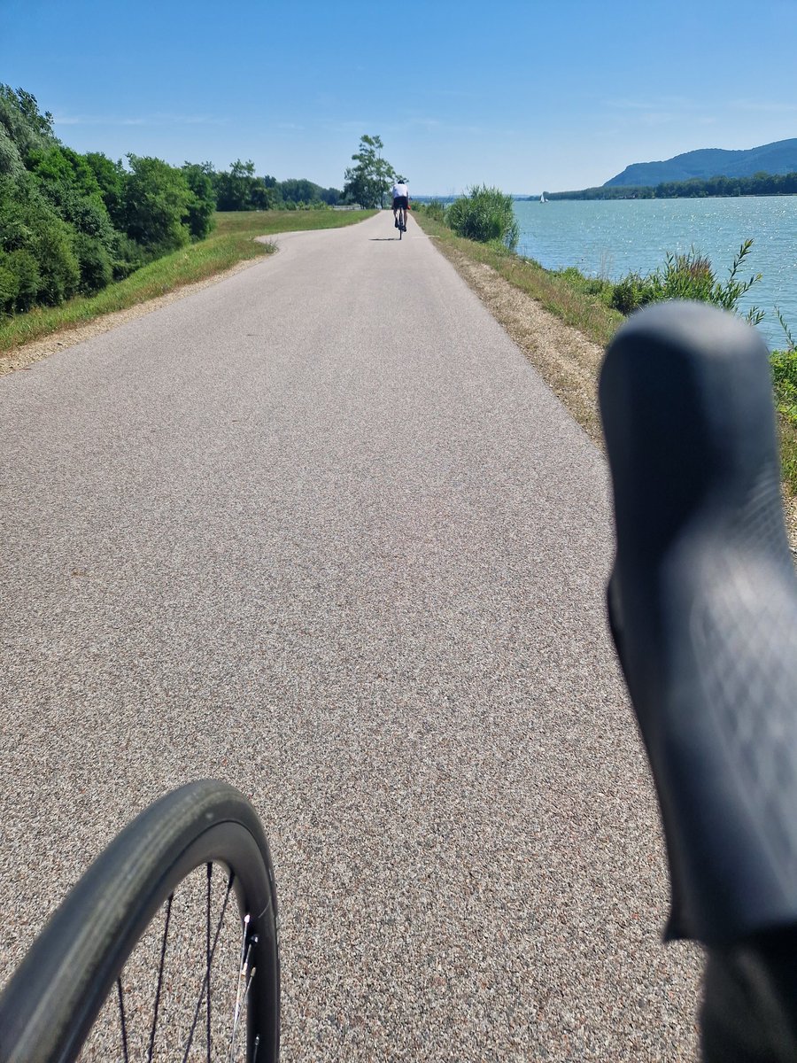 doris_mat81's tweet photo. Tulln - Wien #donauradweg #roadbike #etappe7 https://t.co/VMDjIwTzvg