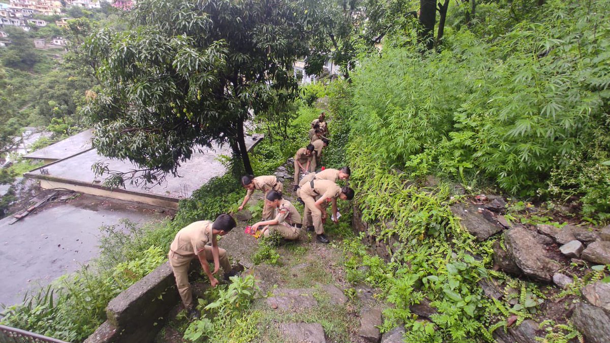 NCCUttrakhand's tweet photo. PG College Karnaprayag Under 1 UK Bn Gopeshwar @HQ_DG_NCC carried out
Cleaning of Alaknada River Banks.
#PuneetSagar
@gpsinghips @pushkardhami @SpokespersonMoD https://t.co/zeMQ8ZKeo6