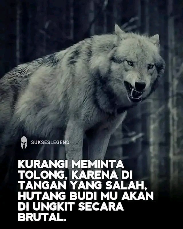 Bangwas 🇮🇩🇮🇩🇮🇩🇮🇩🇮🇩🇮🇩🇮🇩🇮🇩🇮🇩🇮🇩 (@bangwas3) on Twitter photo 