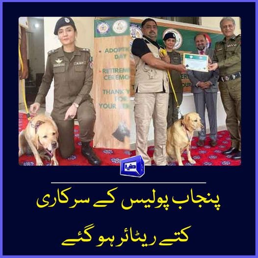 SabeeKazmi786's tweet photo. ��رکاری کتے ریٹاہر ہو گیے۔
((یہ خبر ہے)) https://t.co/JO7LHK2StT