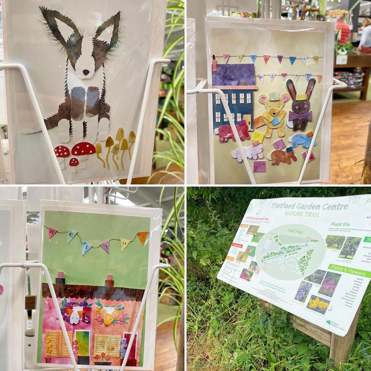 KillingBdesigns's tweet photo. Alfie was admired by many customers as he trotted up the aisles, when adding new designs to our card spinner. @ThetfordGC #thetford #thetfordgardencentre #norfolk #killingbdesigns #killingbcards #kilverstone ©️https://t.co/Ea9VrW2M5n https://t.co/1xyOwKh16d