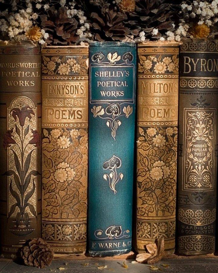 deadacademic's tweet photo. i propose that we bring back vintage book covers. https://t.co/AYlL2yBZBr