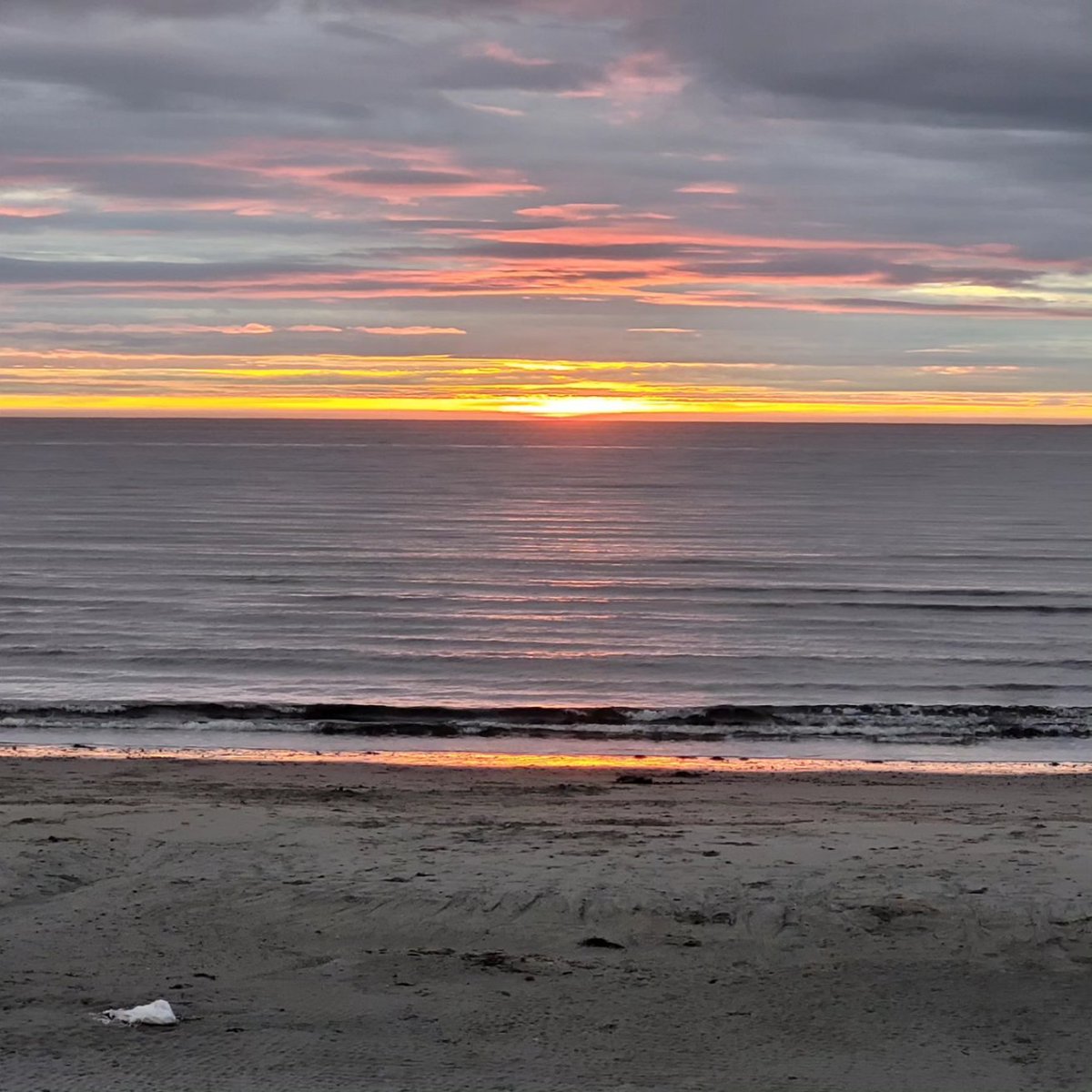 Marissa Perrier tweet media