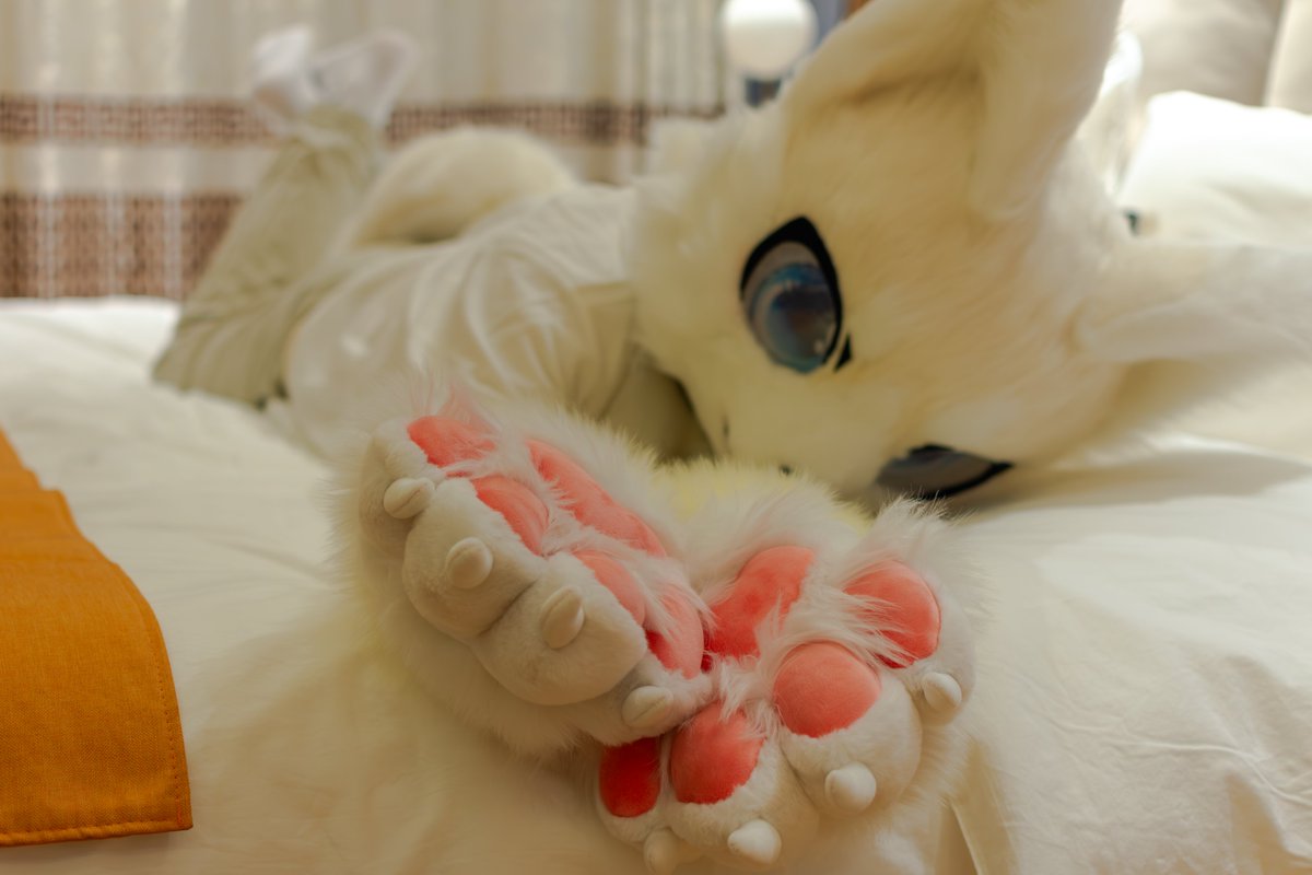 狗狗發出邀請...