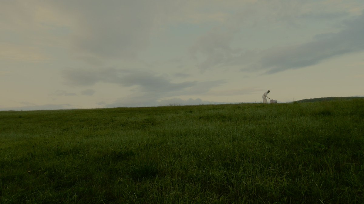 NuffVibes 🕊 tweet media