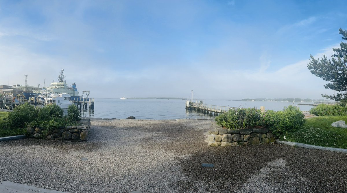 𝘿𝙧. 𝘾𝙧𝙮𝙨𝙩𝙖𝙡 𝙍𝙤𝙜𝙚𝙧𝙨 ≽(◕ ᴗ ◕)≼ 🐥🐸 tweet media