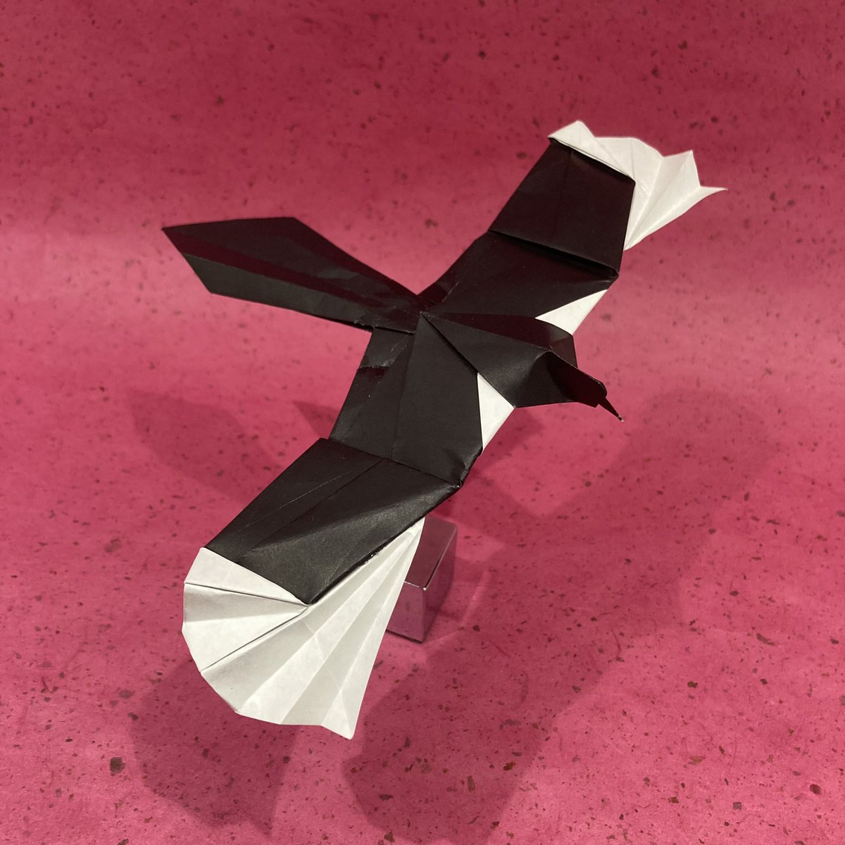 #origami #magpie my design.