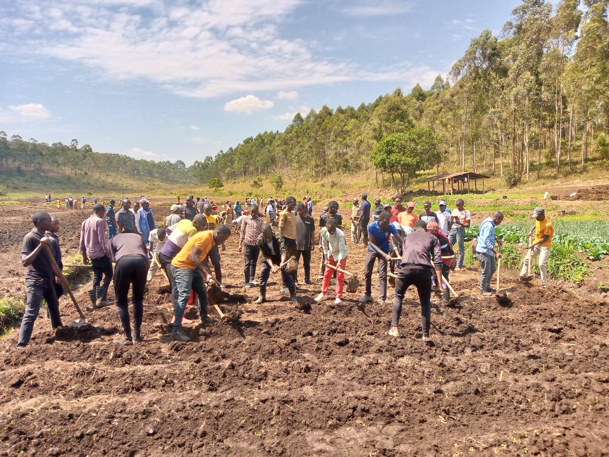 UB_Rumuri's tweet photo. Ce samedi 7juin 2023 l'équipe de direction de l'@UB_Rumuri a effectué des travaux communautaire dans le marais de Kambu  de la ferme du Campus Zege. Il s'agissait de semer des pommes de terre pour la saison C.
@MENRS4 https://t.co/uaBx9NNDHq