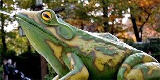 Wat een verschil - bijna net zo mooi als hun gro­te am­fi­bie­ën­broe­ders rond de Von­der­plas! Verzoek ruimschoots opgelost! 🐸 #OogvoorDetail Fraai hoor, <a href="/Efteling/">Efteling</a> 🥰