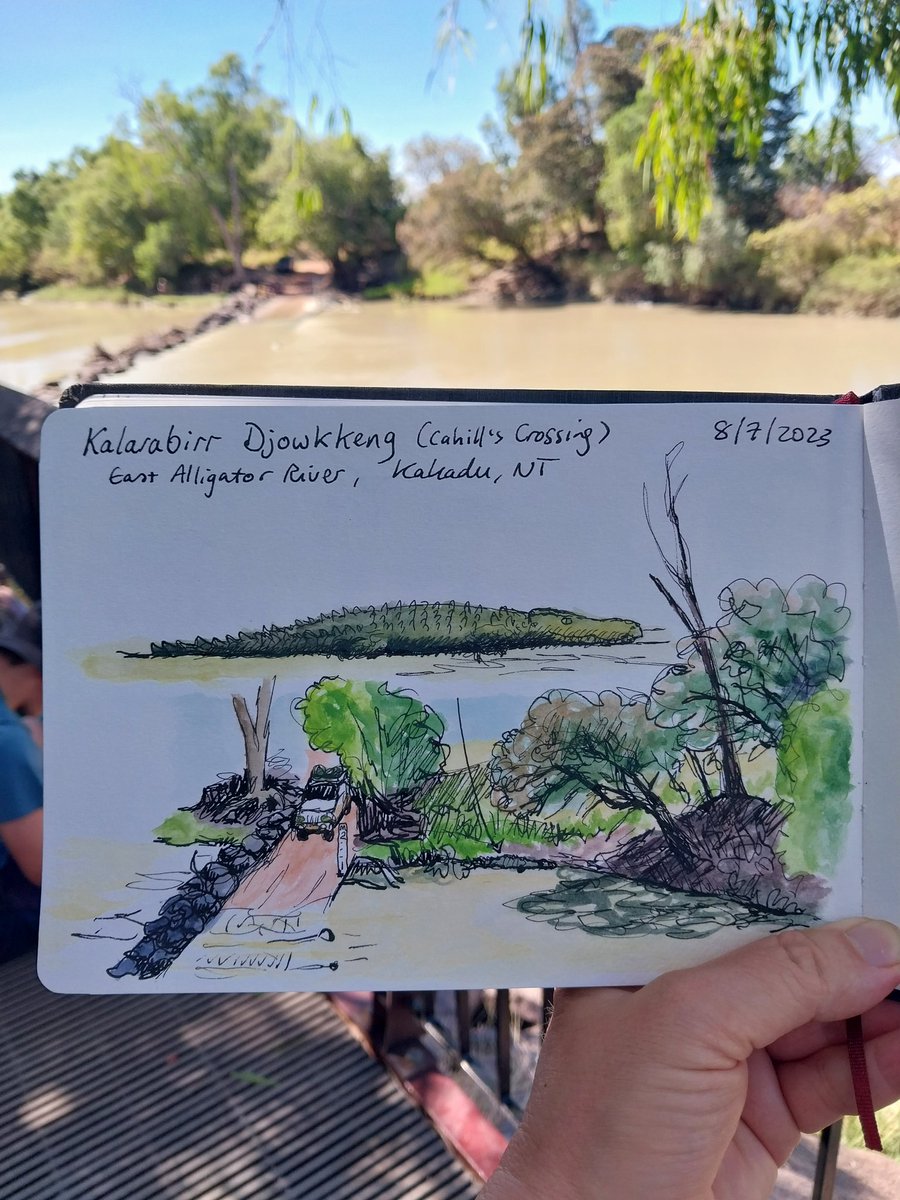 Nature journaling wild crocodiles in a national park half the size of Switzerland. I'm feeling very fortunate right now 😊

#naturejournal #naturejournaling