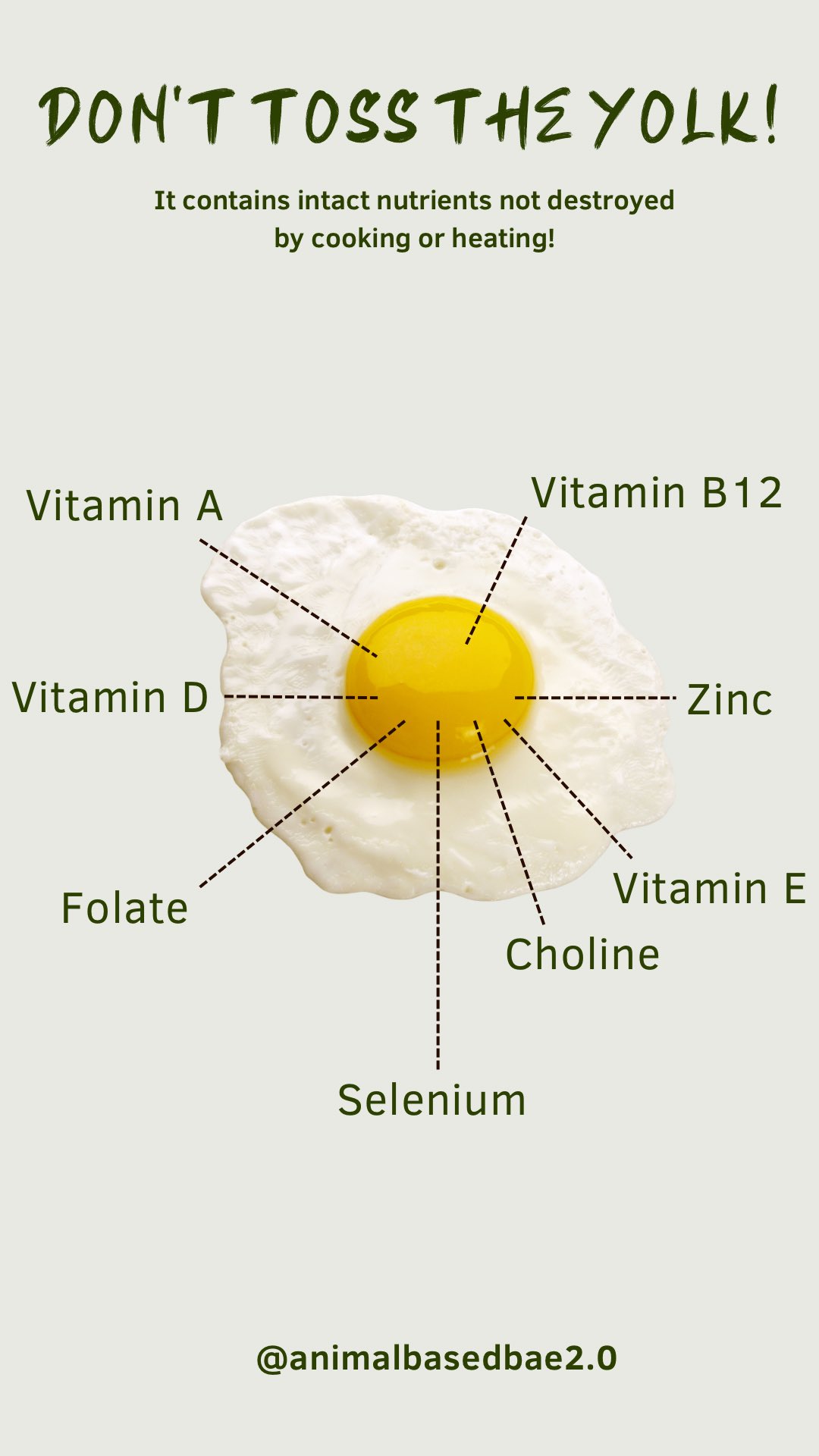 Lindsay on Twitter "Remember when we were fooled into believing egg