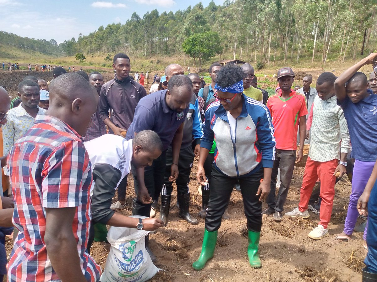 UB_Rumuri's tweet photo. Ce samedi 7juin 2023 l'équipe de direction de l'@UB_Rumuri a effectué des travaux communautaire dans le marais de Kambu  de la ferme du Campus Zege. Il s'agissait de semer des pommes de terre pour la saison C.
@MENRS4 https://t.co/uaBx9NNDHq