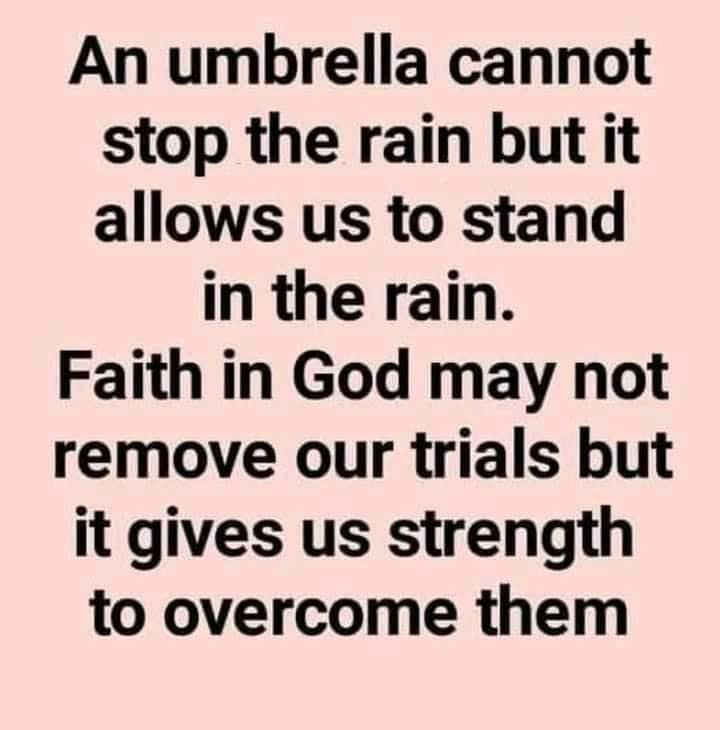 dkbascom's tweet image. 