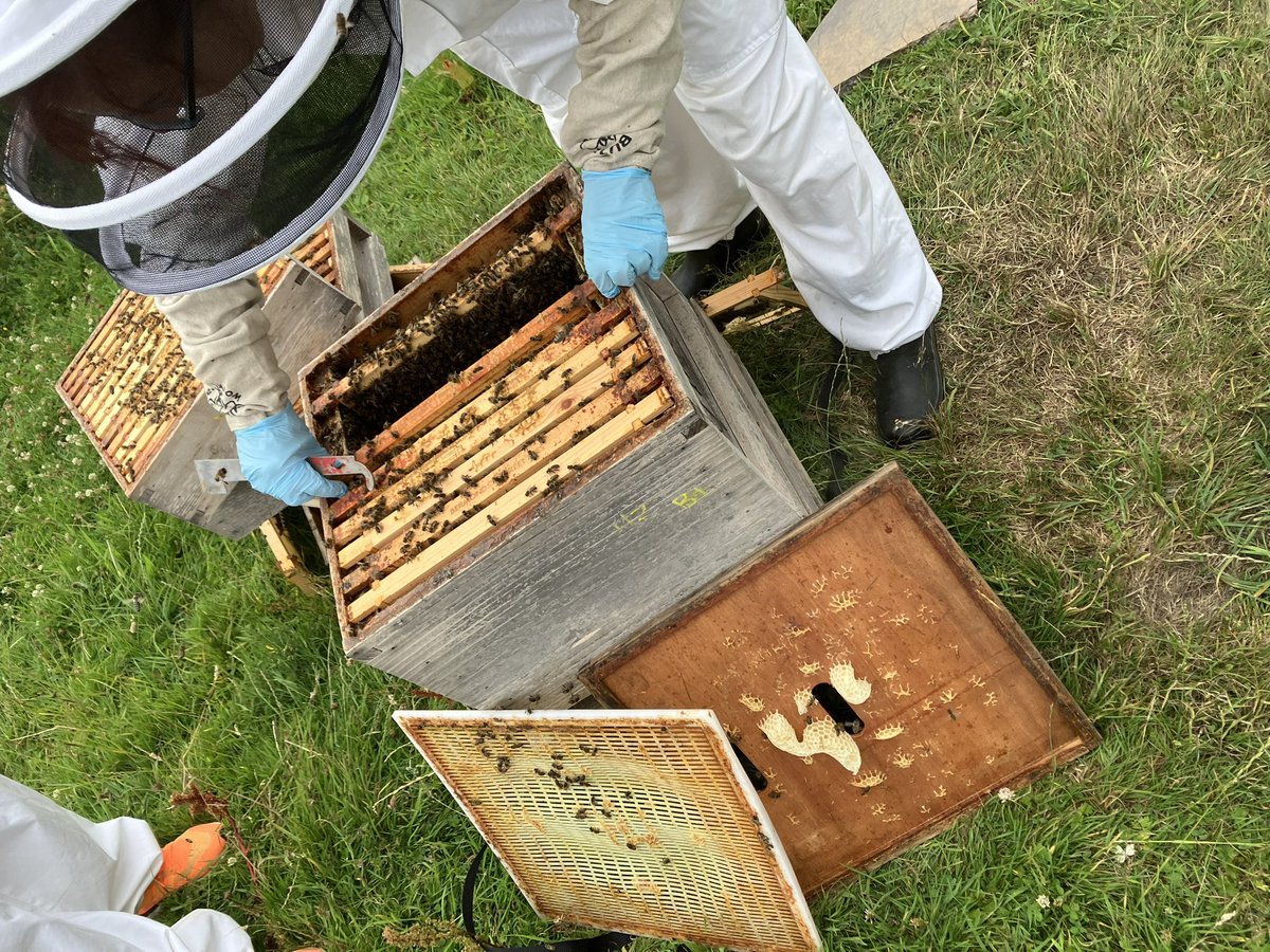 Dale Lane (inactive) tweet media