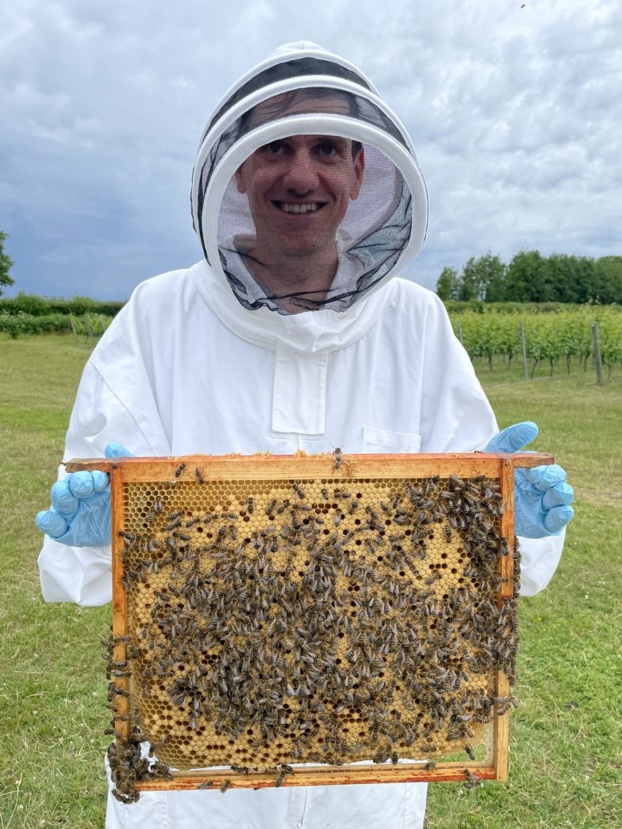 Dale Lane (inactive) tweet media