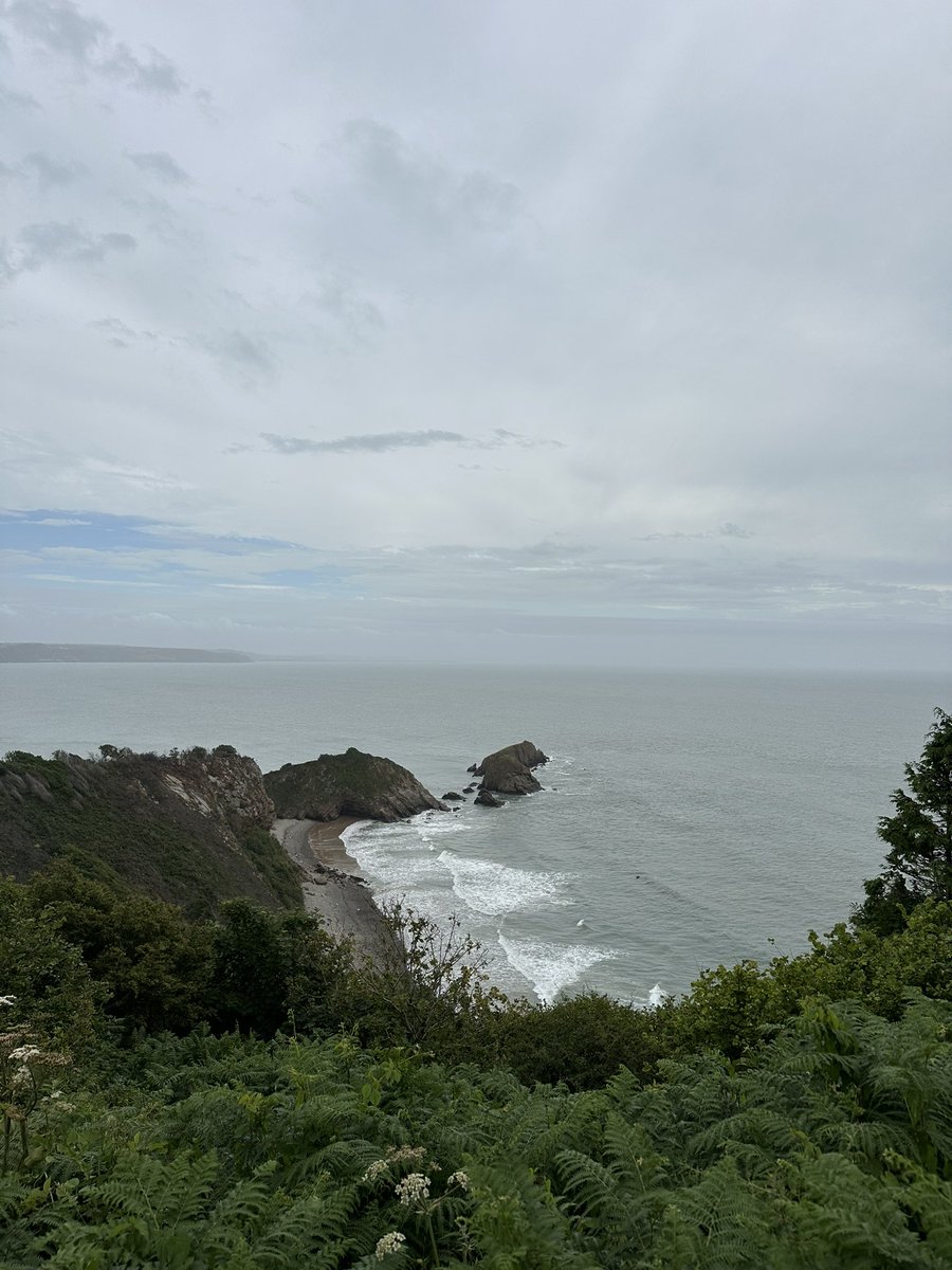 It's been a little while since I've posted a pic from one of favourite spots on the #pembrokeshirecoastalpath but here's the view today. #morningmonkstone