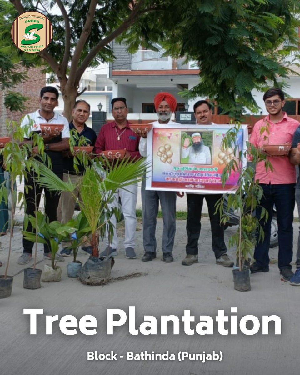 GreenSwelfares's tweet photo. In harmony with nature! Shah Satnam Ji Green 'S' Welfare Force Wing volunteers are leading by example, placing water and feed for birds🐦 and adding more greenery to the planet by planting trees🌳.  #PlantATree #FeedTheBirds #DeraSachaSauda https://t.co/bAvaVJaCmL