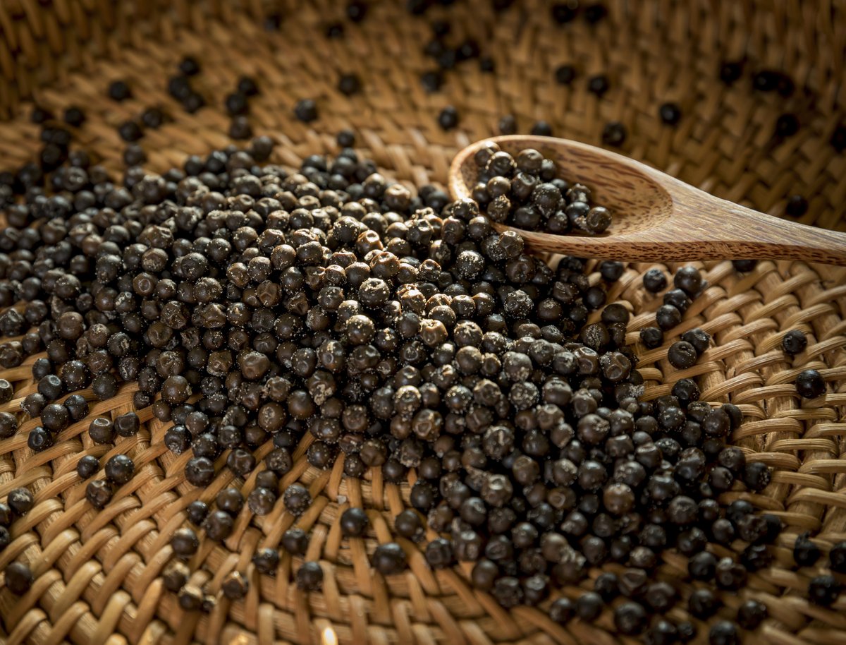 KADODE KAMPOT PEPPER tweet media