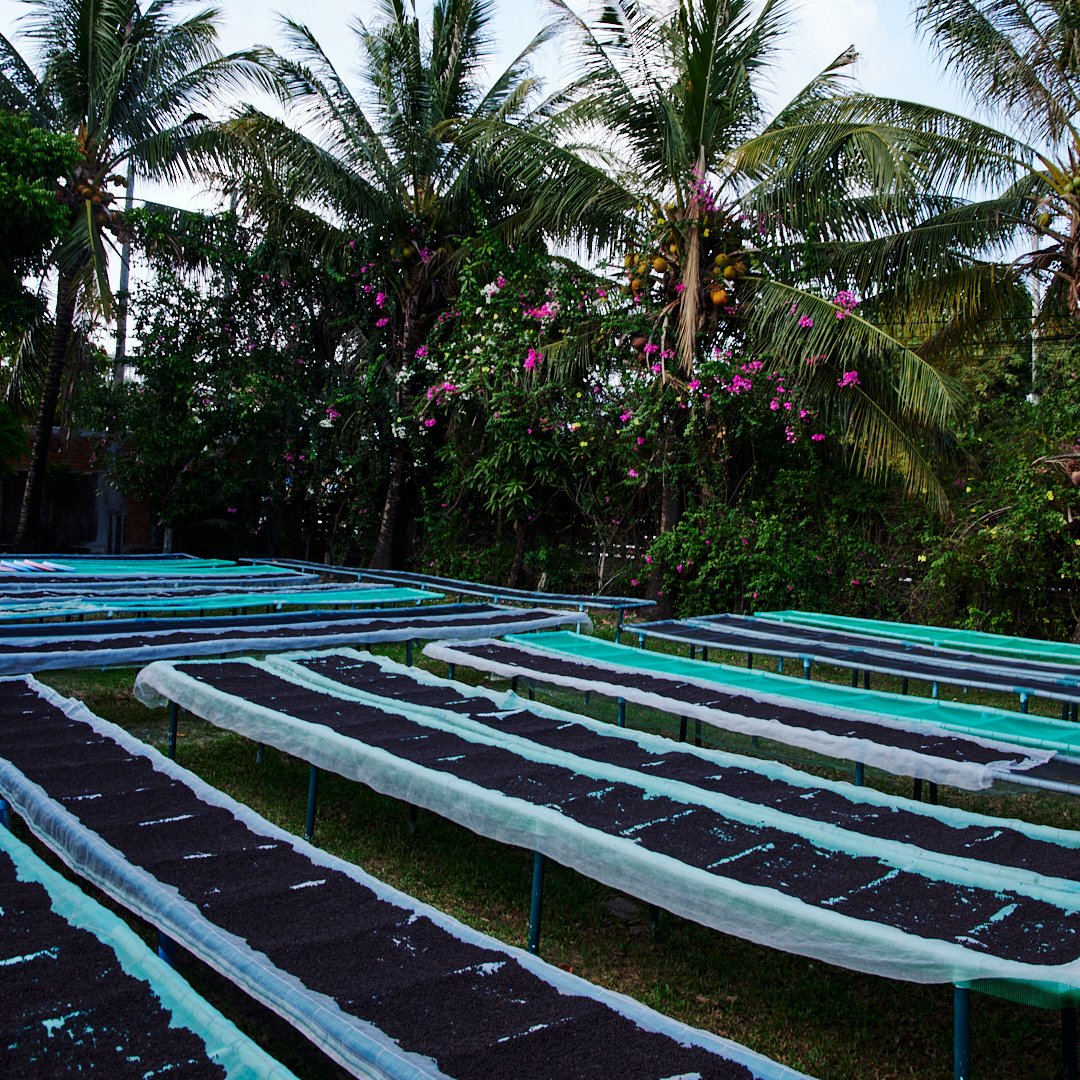 KADODE KAMPOT PEPPER tweet media