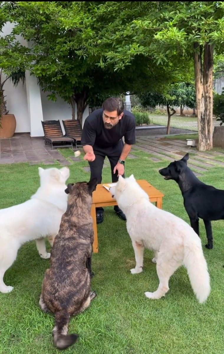 Diptiranjan_7's tweet photo. Pic of the day is here!! 🫰🥺❤️ https://t.co/byB0bsyTWv