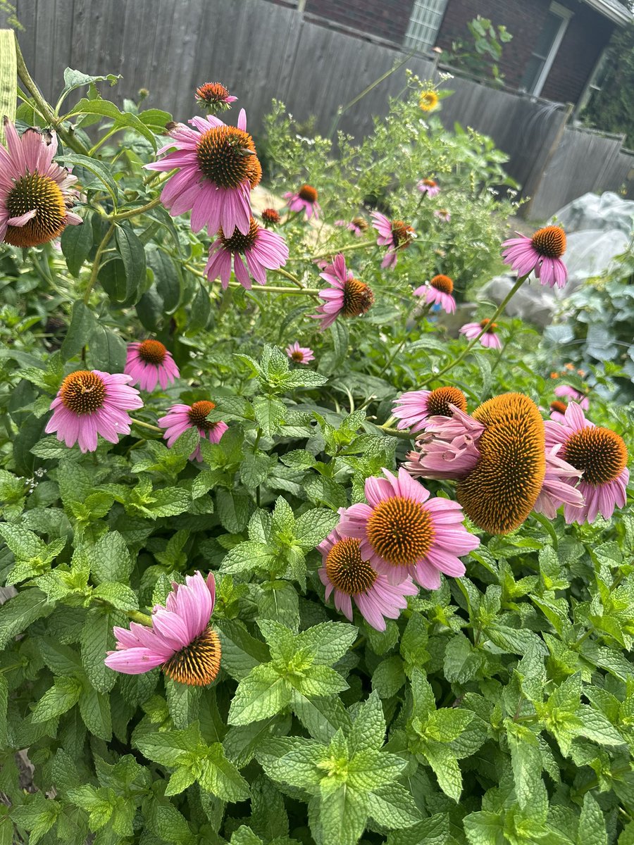 Yesterday, I took a walk around our campus to embrace the natural beauty of nature. It is important to free your mind and take a moment to reflect.