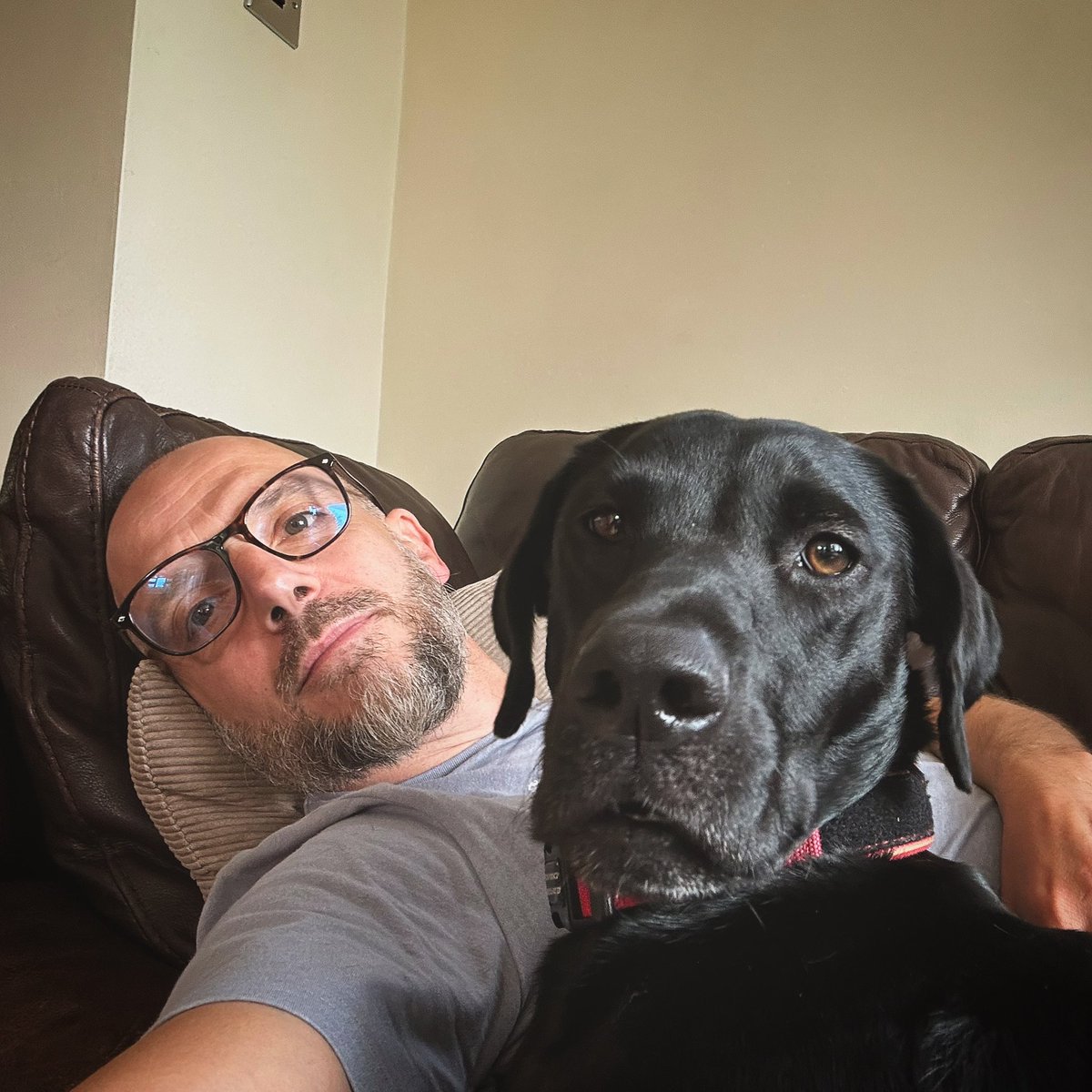 Mike Bull tweet media