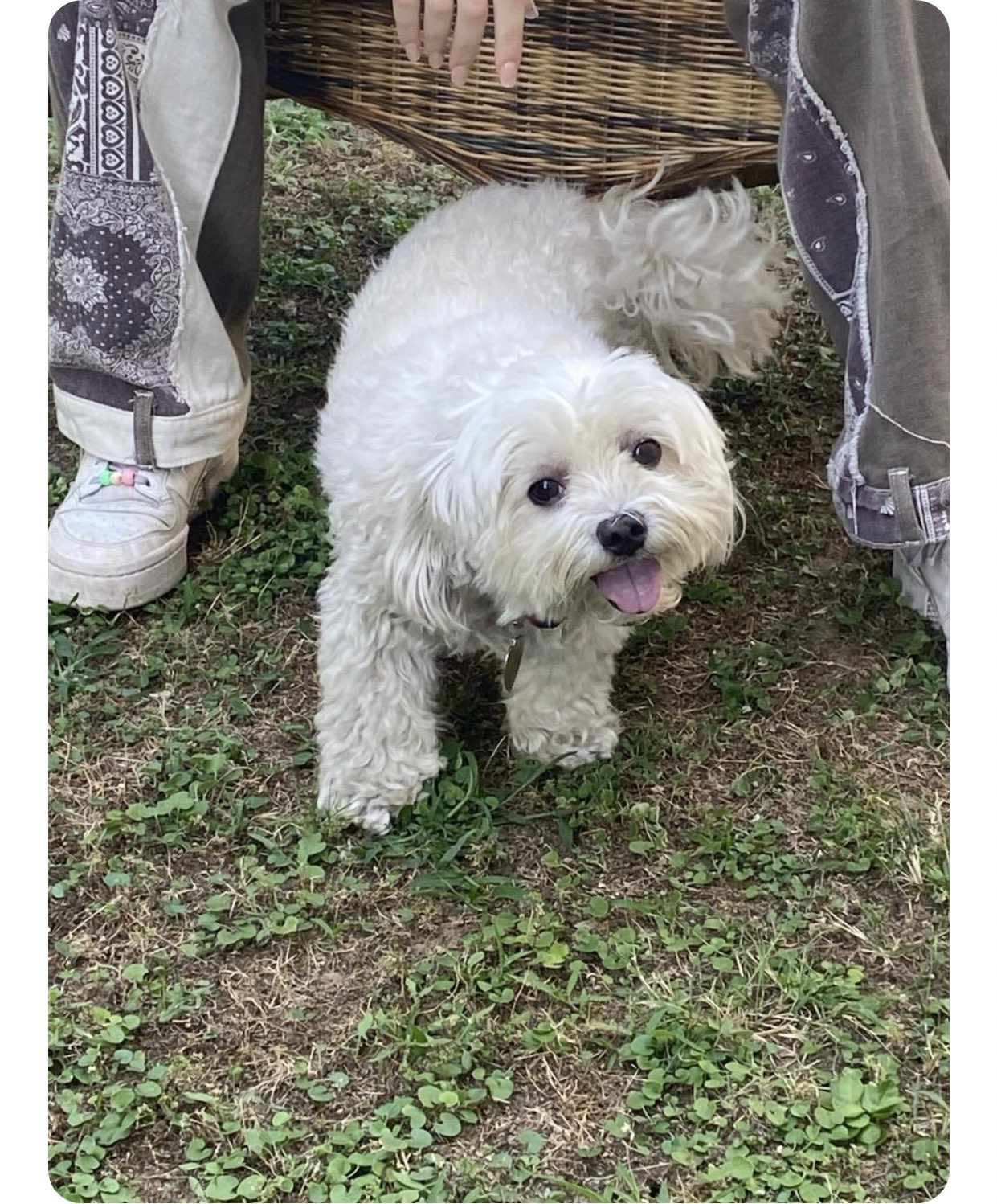 ENHYPEN JUNGWON GLOBAL on Twitter: "[ð¸ WEVERSE Reply] 070923 ð¤