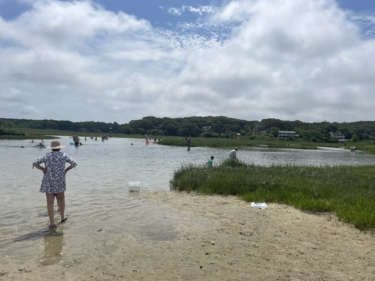 morning sampling at Lil Sipp, we got some BERRIES!! #welovemicrobes