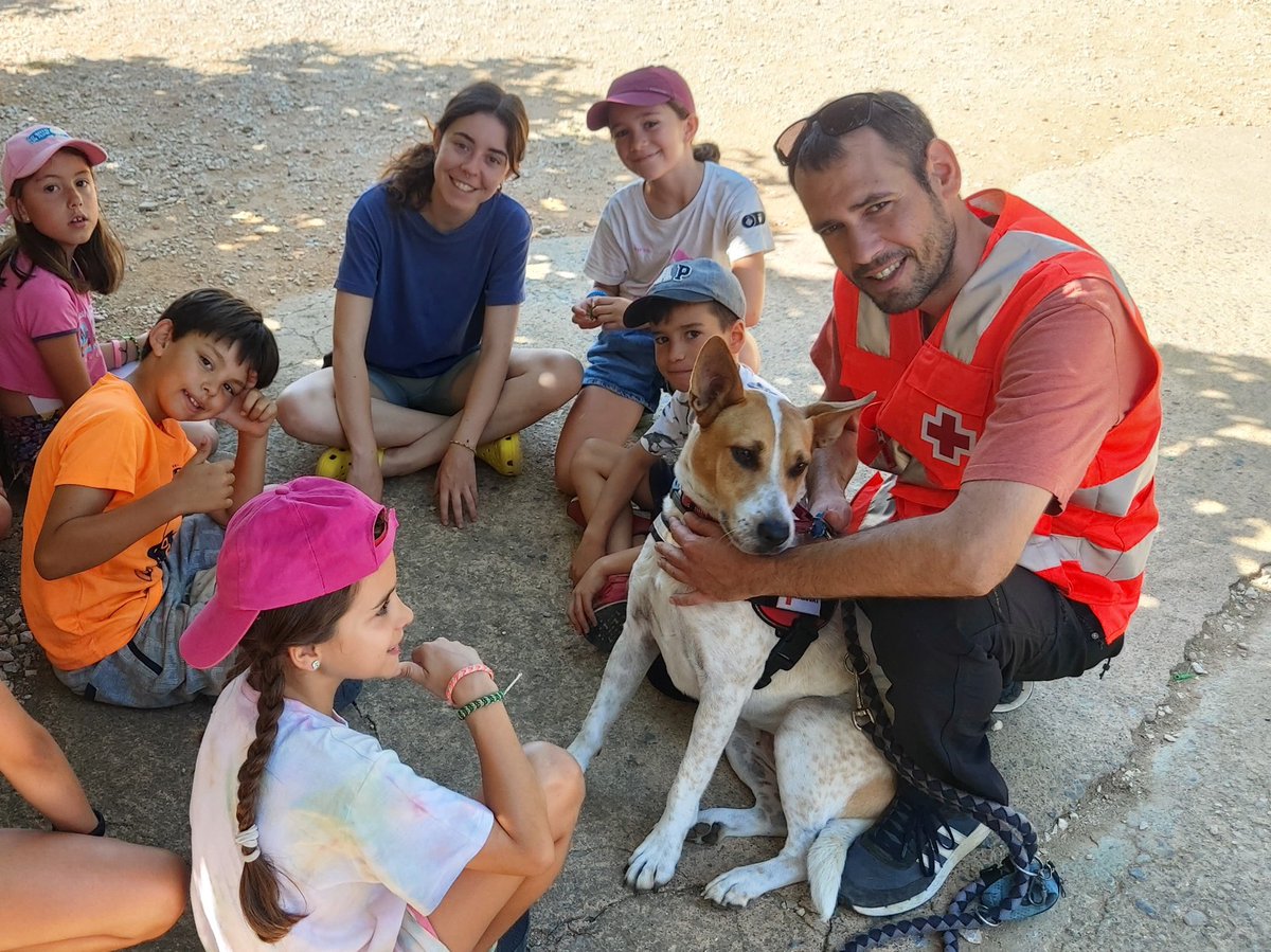 hemofilia_cat's tweet photo. Avui súper sorpresa!! A les colònies de @hemofilia_cat hem tingut una visita!
@ErieGossos i @JosepQuitet de @CreuRojaCAT ens han portat els seus gossos, els hem pogut tocar, veure com fan rescats i troben desapareguts 💪🚑🐕‍🦺moltes gràcies per aquesta inoblidable estona! 😍 https://t.co/u1PUvaiaWy