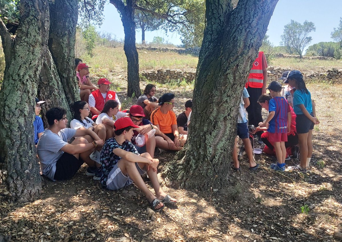 Avui súper sorpresa!! A les colònies de <a href="/hemofilia_cat/">Hemofilia.cat [ACH]</a> hem tingut una visita!
<a href="/ErieGossos/">ERIE gossos</a> i <a href="/JosepQuitet/">Josep Quitet Torner</a> de <a href="/CreuRojaCAT/">Creu Roja Catalunya</a> ens han portat els seus gossos, els hem pogut tocar, veure com fan rescats i troben desapareguts 💪🚑🐕‍🦺moltes gràcies per aquesta inoblidable estona! 😍