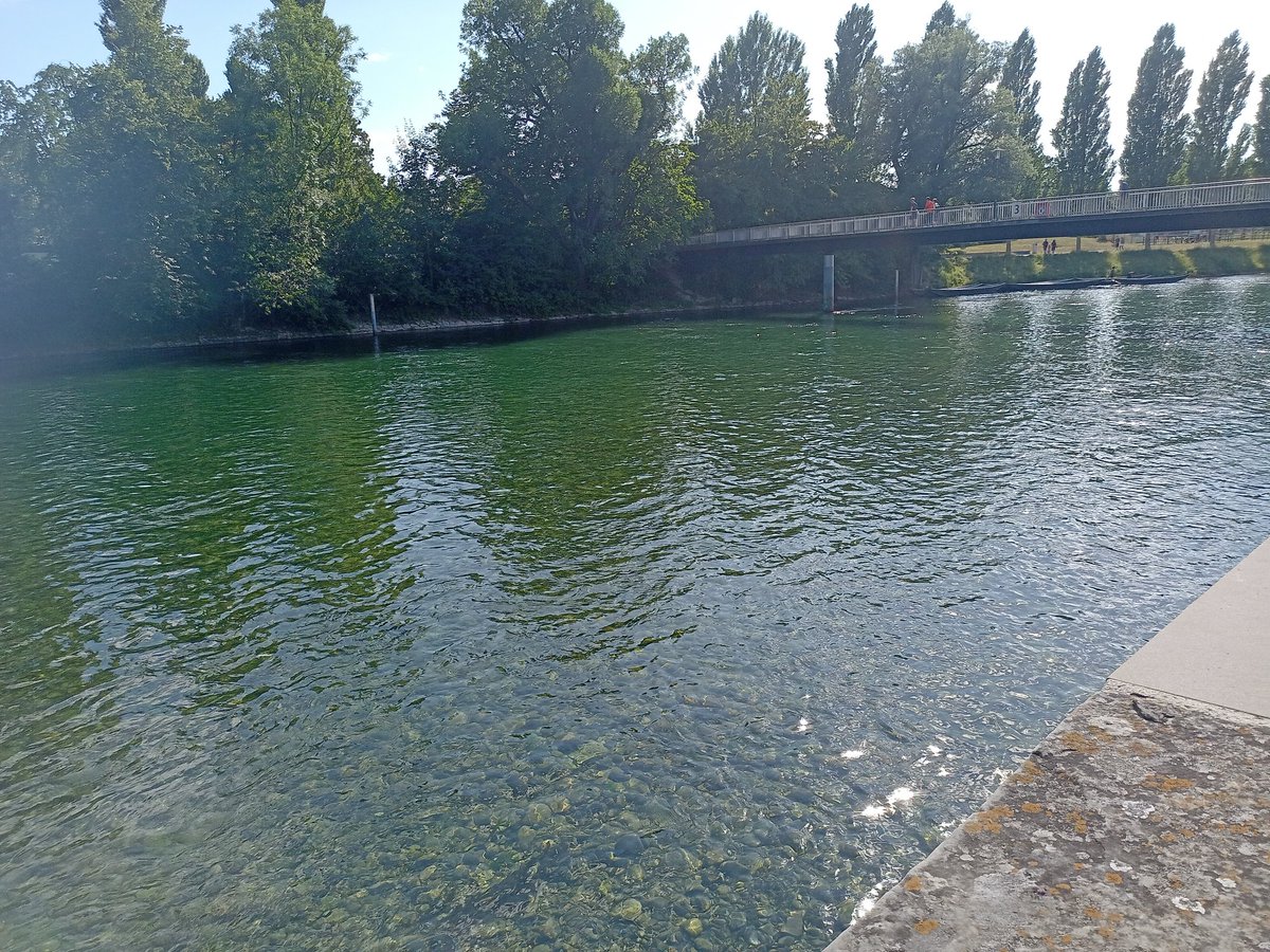 Sandro Wicht-Wright tweet media