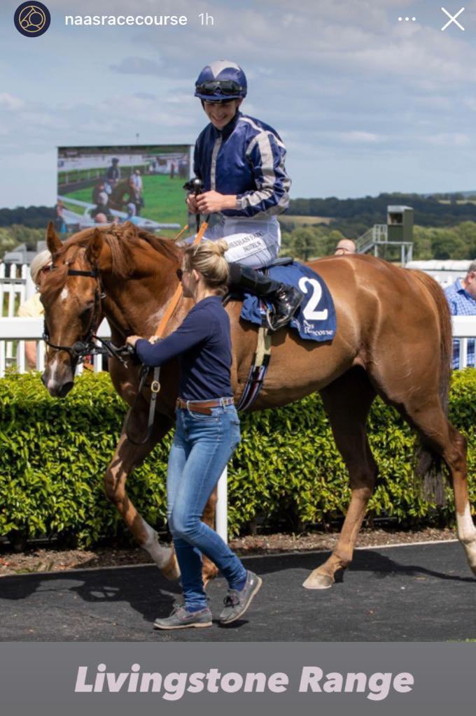 CathyGrassick's tweet image. Good day @NaasRacecourse today bought a winner Storm Miami &amp;amp; also bred a winner - Well done to @leannebreen with this gorgeous boy Livingston Range a son of @IrishNatStud Equiano - who also had a good day with a Group 3 winner Equality!
