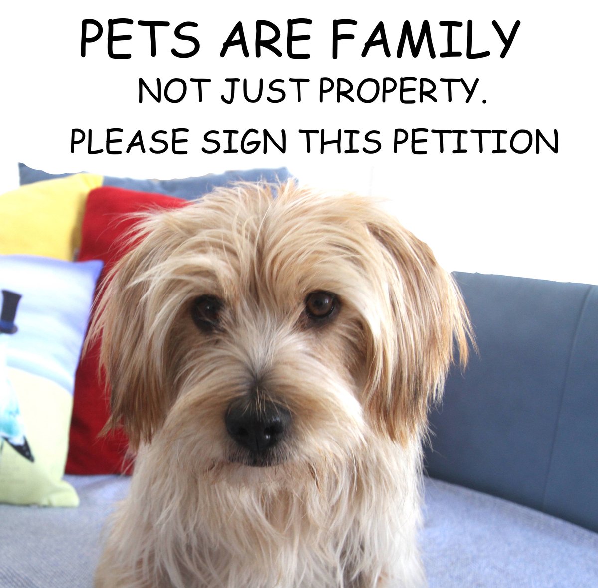 Twitter pals in the UK, could u please help <a href="/Dr_Dan_1/">Dr Daniel Allen</a>  Sign this petition link⬇️ petition.parliament.uk/petitions/6401… 
Pets are family. Despite this, stolen pets are regarded as personal property. Make pet abduction a specific criminal offence
<a href="/peteregan/">Peter Egan</a>
<a href="/PenFarthing/">Pen Farthing</a>
<a href="/domdyer70/">dominic dyer</a>
<a href="/ZombieSquadHQ/">ZombieSquadHQ💖💚🧡💚🩵©</a>