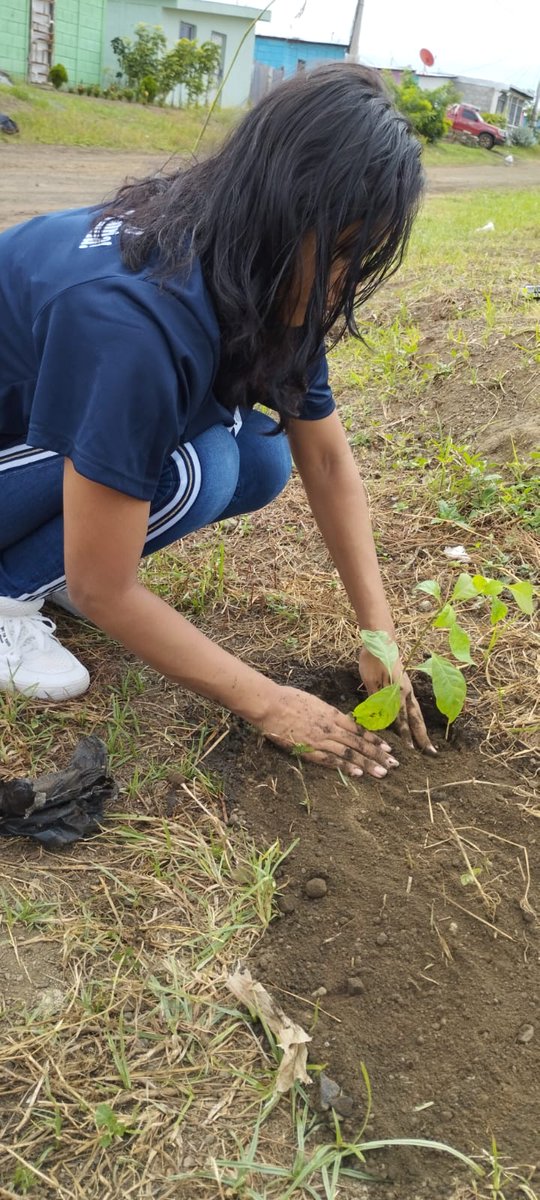 🌿 La Brigada de Voluntariado Luciérnaga y la Comisión de Extensión de la Facultad de Humanidades y Ciencias Jurídicas participa en la Jornada de Reforestación en el Barrio Villa Jerusalén en Managua.