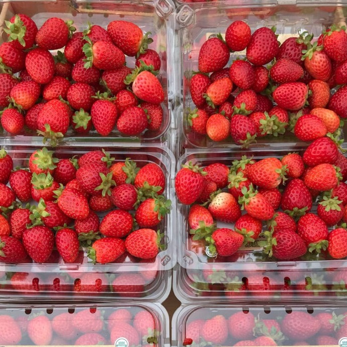 All of this produce was deemed "imperfect" by conventional grocers. Can you guess why? Spoiler alert: they're perfect to us!